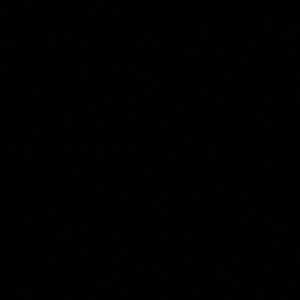 Meet your Posher, Nora